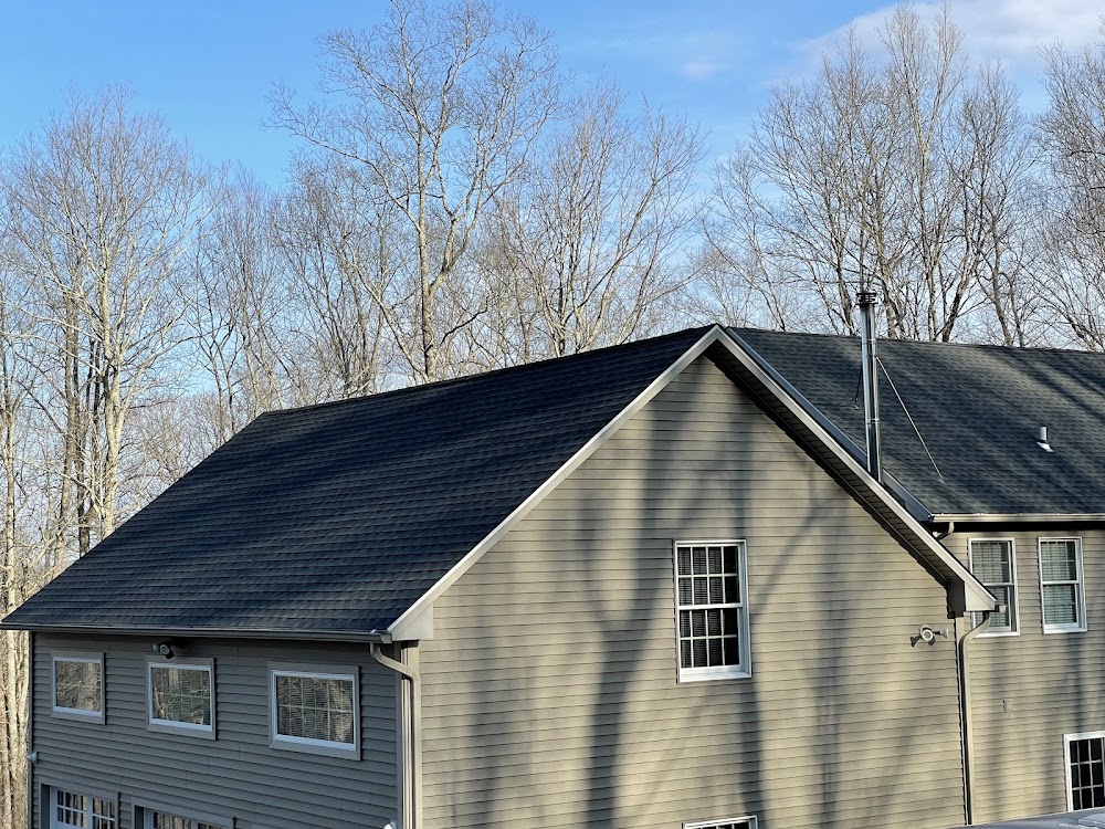 Busy Bee Roofing LLC