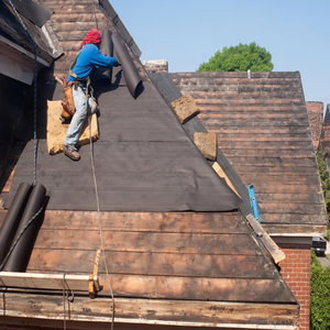 Lion Roofing